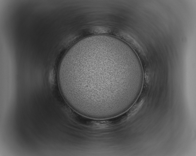 X0000101990359200808011106