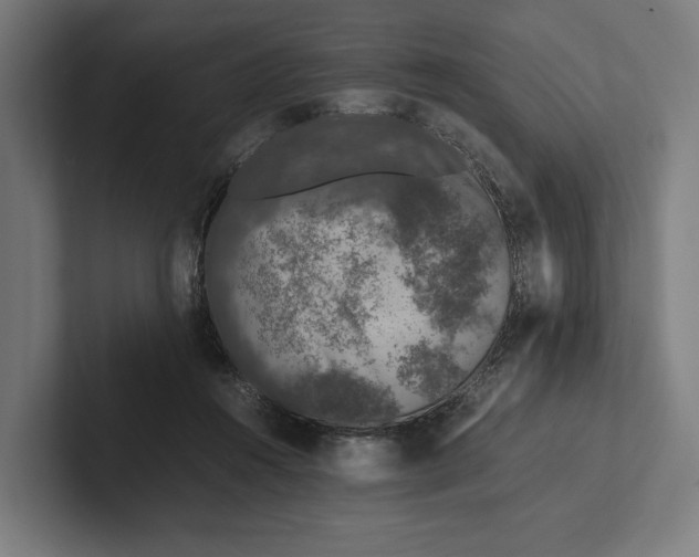 X0000101990360200808011106