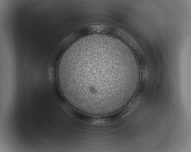 X0000101990361200808011106