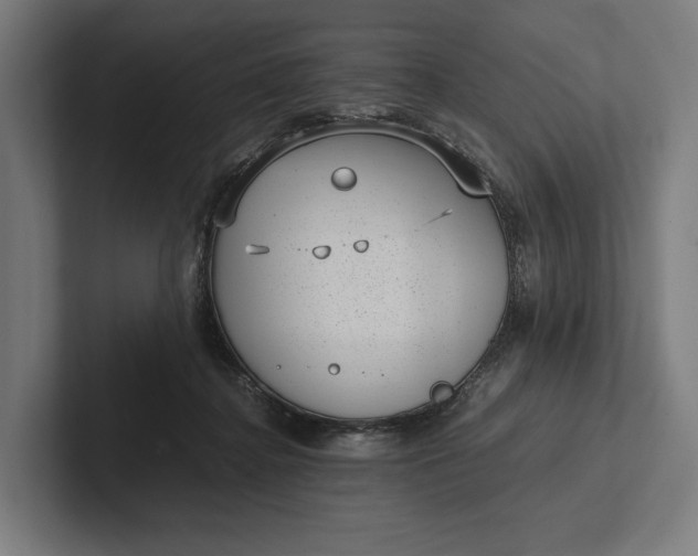 X0000101990364200808011106