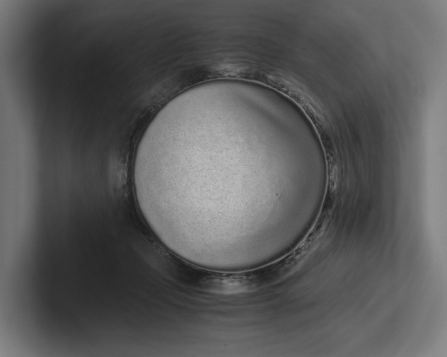 X0000101990365200808011106