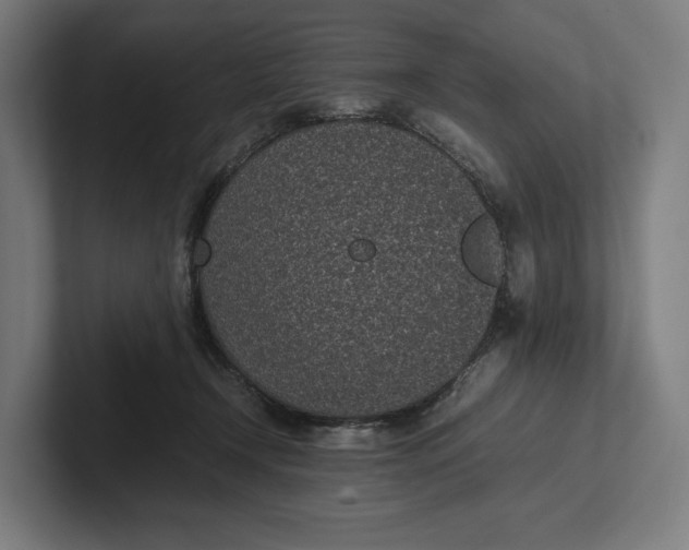 X0000101990366200808011106