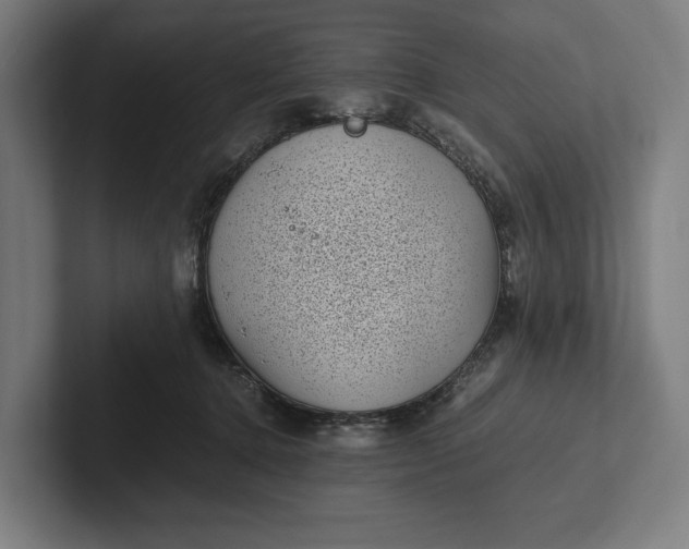 X0000101990368200808011106