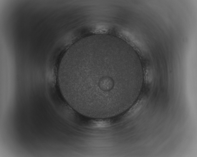 X0000101990370200808011106