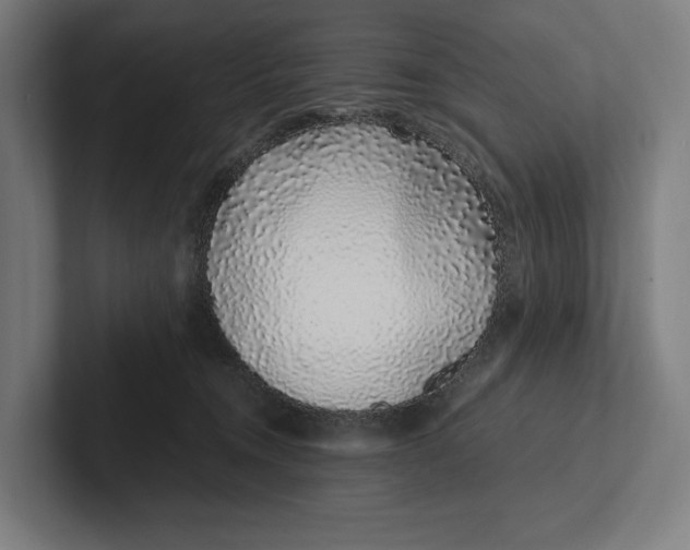 X0000101990372200808011106