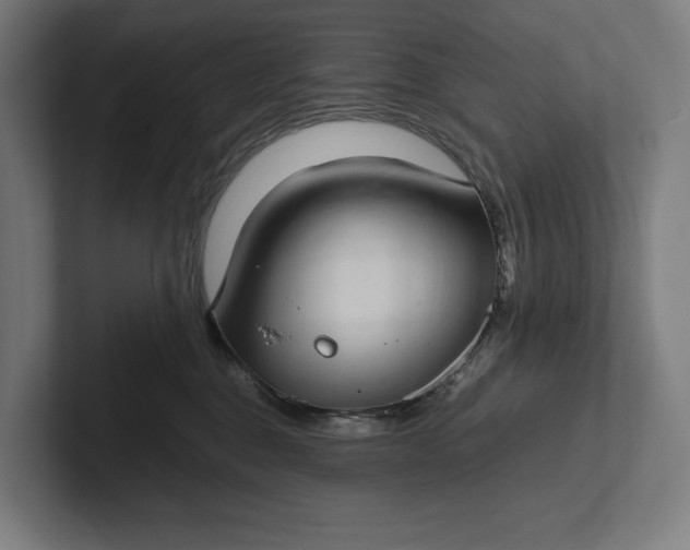 X0000101990376200808011106