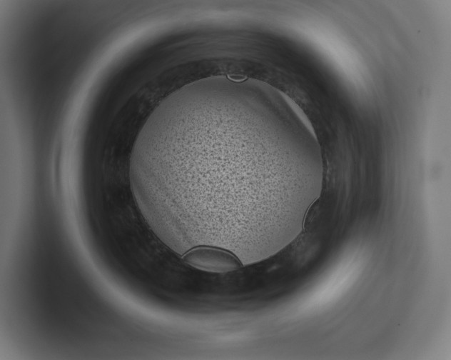 X0000101990383200808011106