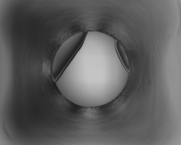 X0000101990384200808011106