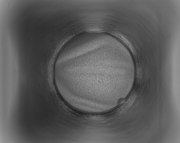 X0000101990385200808011105