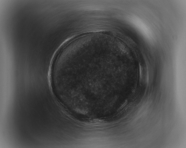 X0000101990387200808011105