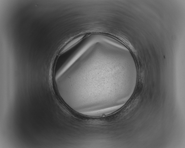 X0000101990389200808011105