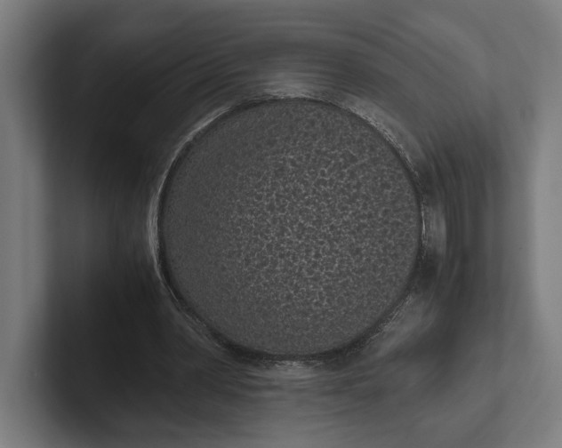 X0000101990390200808011105