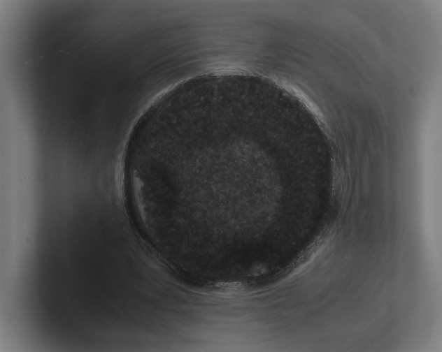 X0000101990391200808011105