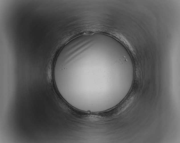 X0000101990393200808011105