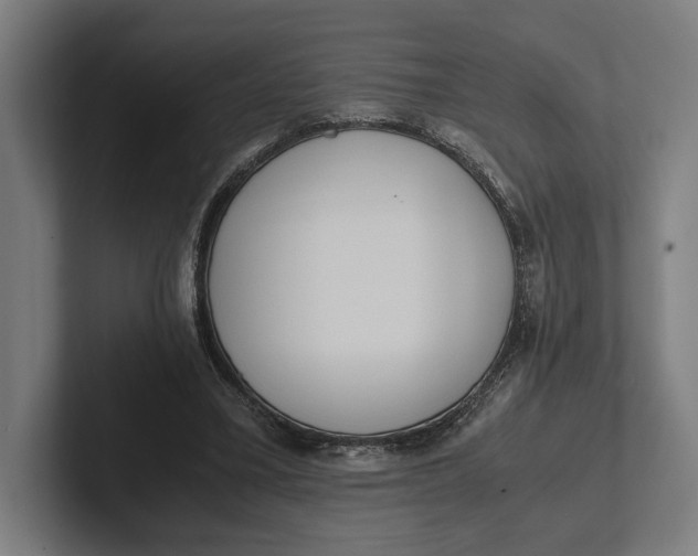 X0000101990395200808011105