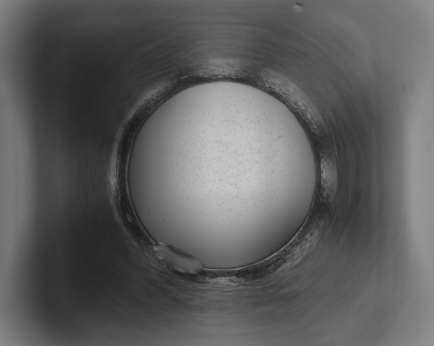 X0000101990396200808011105