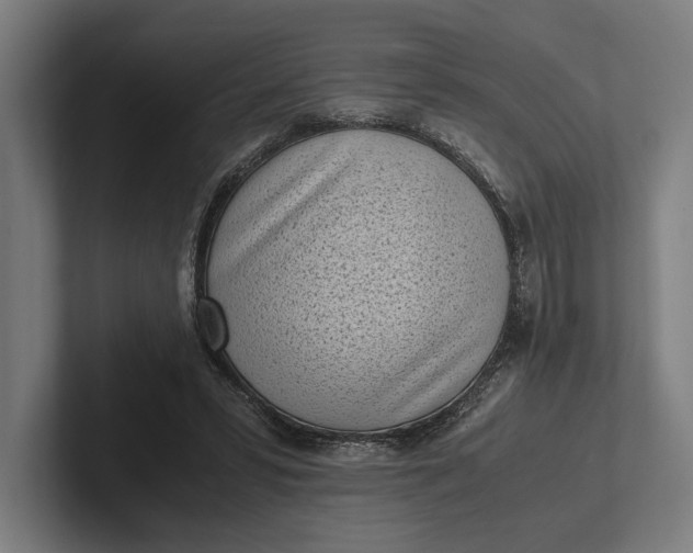 X0000101990399200808011105