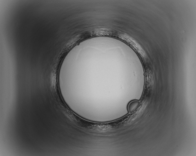 X0000101990401200808011105