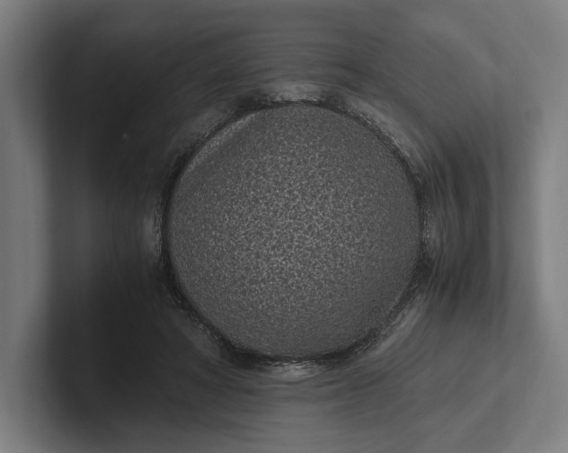 X0000101990402200808011105