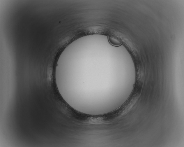 X0000101990403200808011105