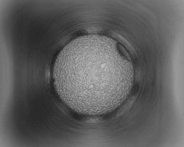 X0000101990405200808011105