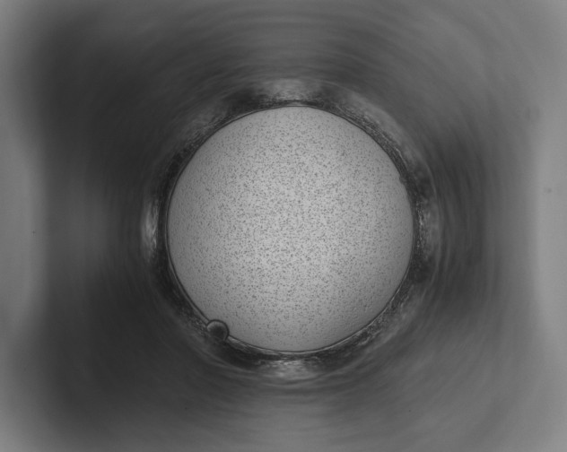 X0000101990406200808011105