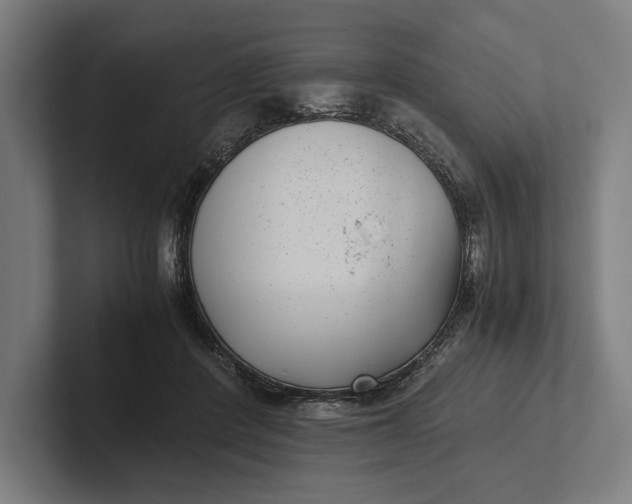 X0000101990408200808011105