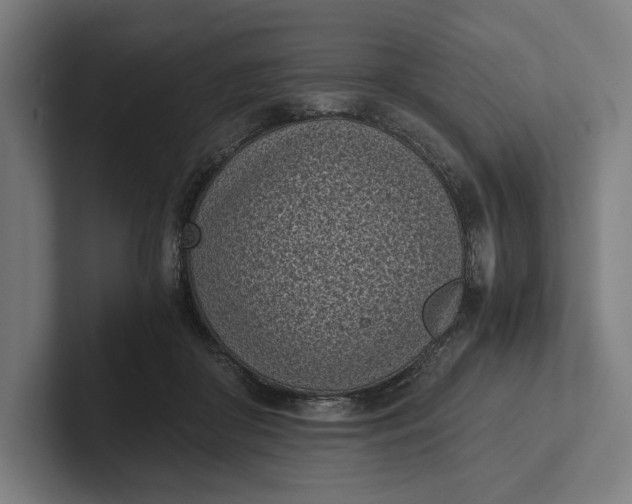 X0000101990410200808011105