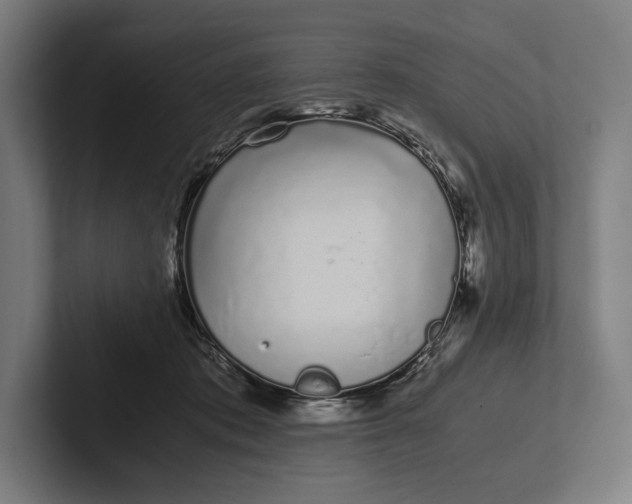 X0000101990413200808011105