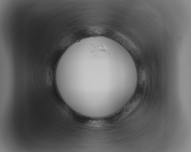 X0000101990414200808011105