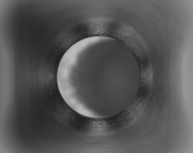 X0000101990415200808011105