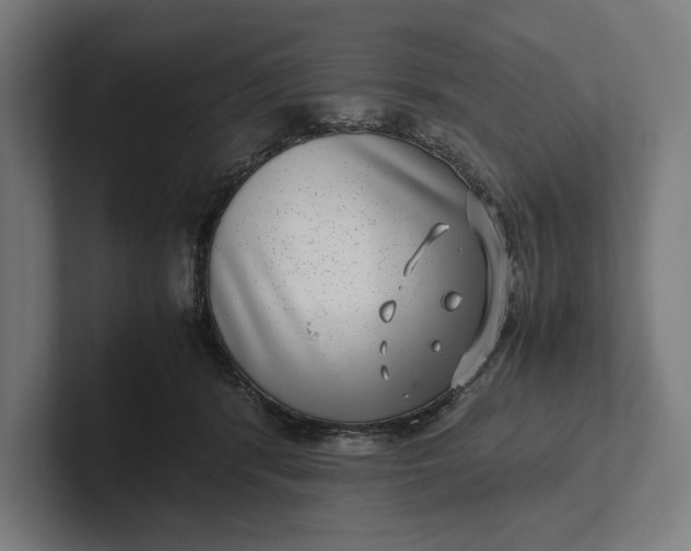 X0000101990416200808011105