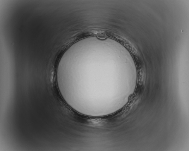 X0000101990417200808011105