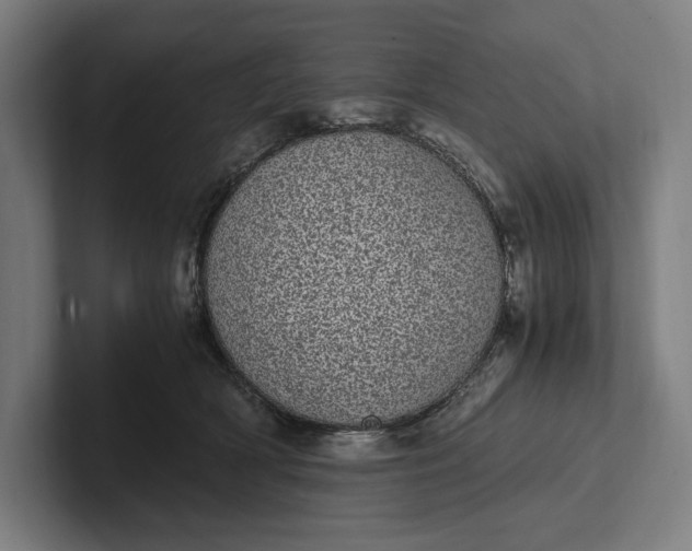 X0000101990418200808011105