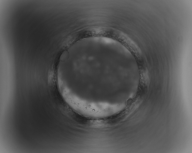 X0000101990419200808011105