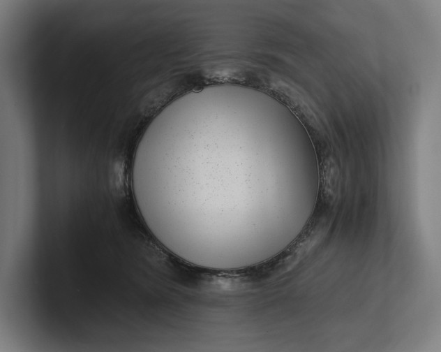 X0000101990420200808011105