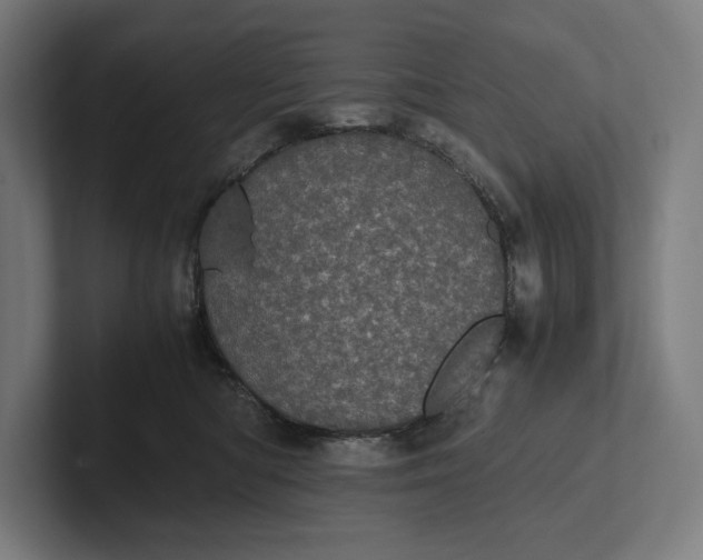 X0000101990422200808011105