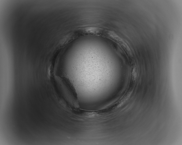 X0000101990424200808011105