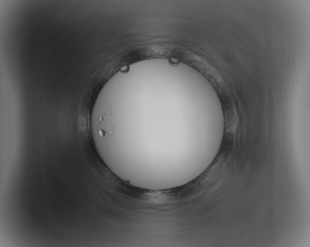 X0000101990425200808011105