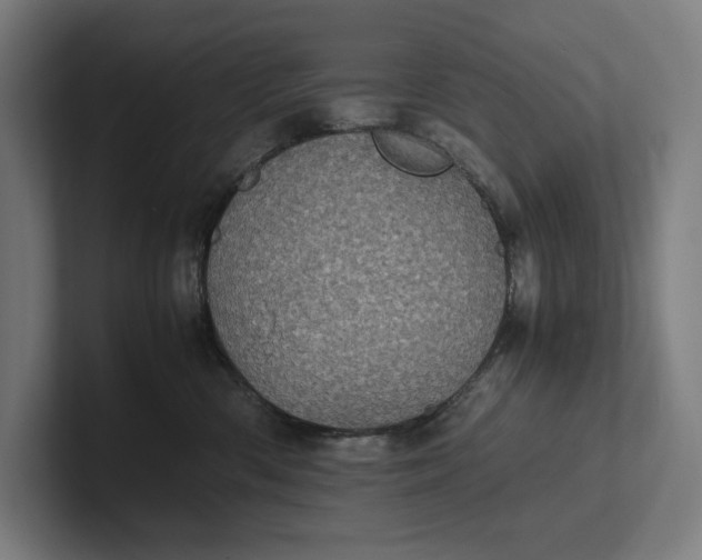 X0000101990426200808011105