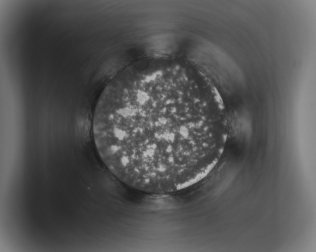 X0000101990427200808011105