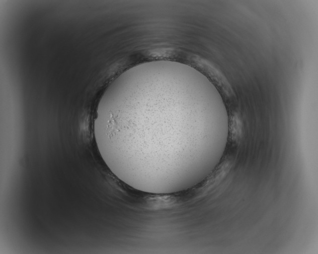 X0000101990428200808011105