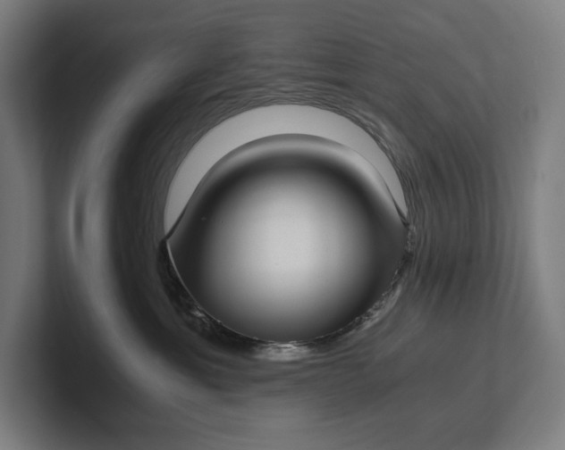 X0000101990429200808011105