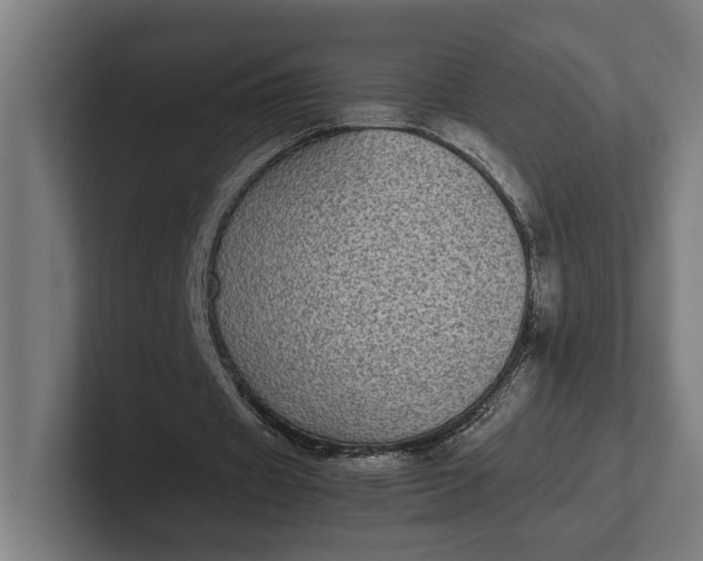 X0000101990433200808011104