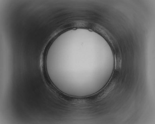 X0000101990435200808011104