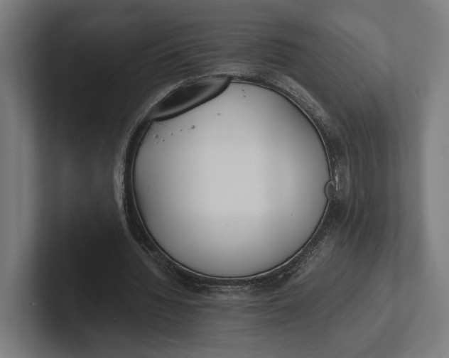 X0000101990436200808011104