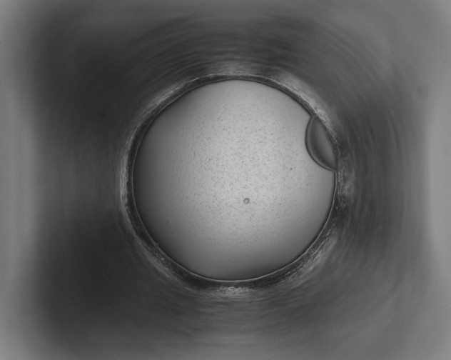 X0000101990437200808011104