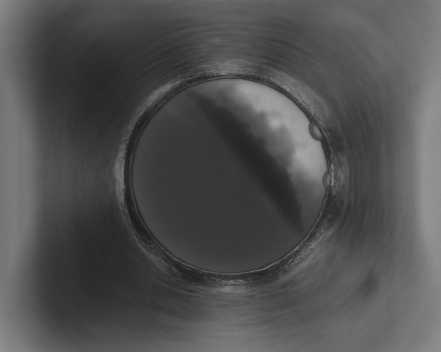 X0000101990438200808011104