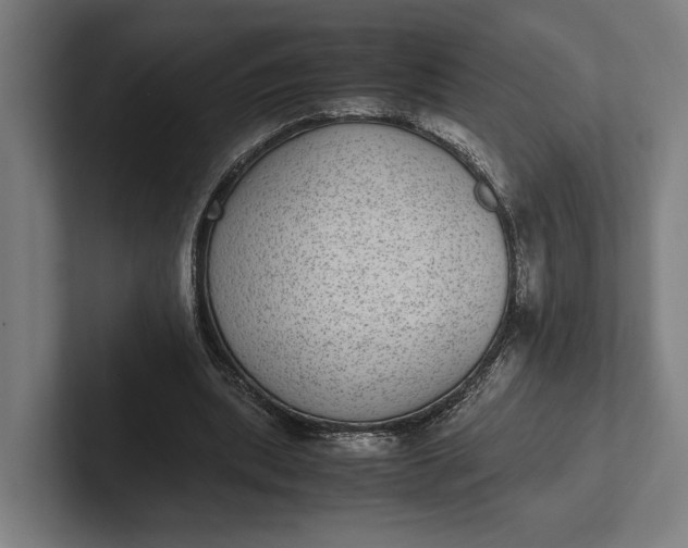 X0000101990439200808011104