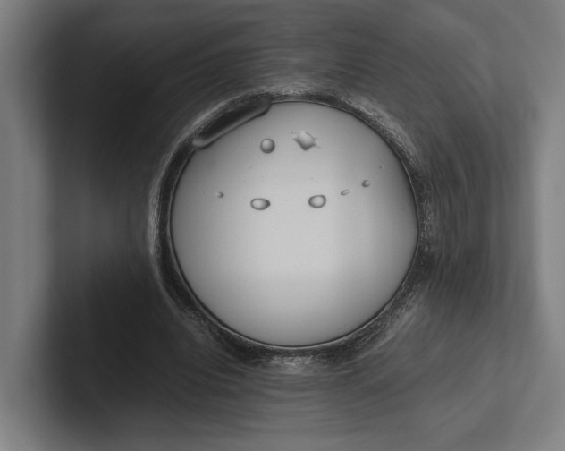 X0000101990440200808011104